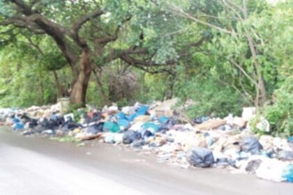Stinking garbage not cleared on Siolim hill