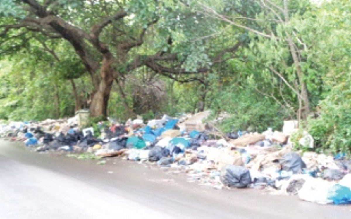 Stinking garbage not cleared on Siolim hill