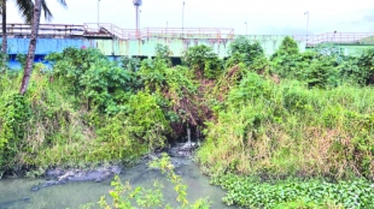 Stinking irony: Raw sewage gushes into River Sal, right next to govt Sewage Treatment Plant at Navelim