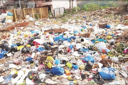 Stinking nuisance outside Mapusa Sub-Registrar’s office