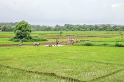 Stirring up the melting pot