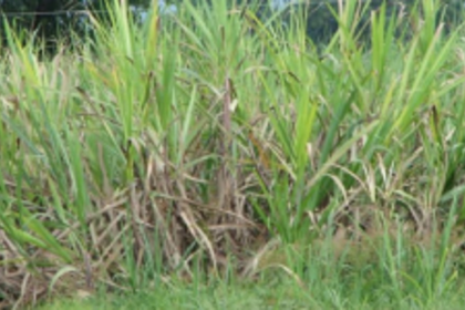 Stop changing land-use plans