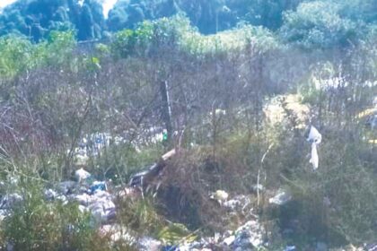 Stop dumping garbage along the service road at Mapusa