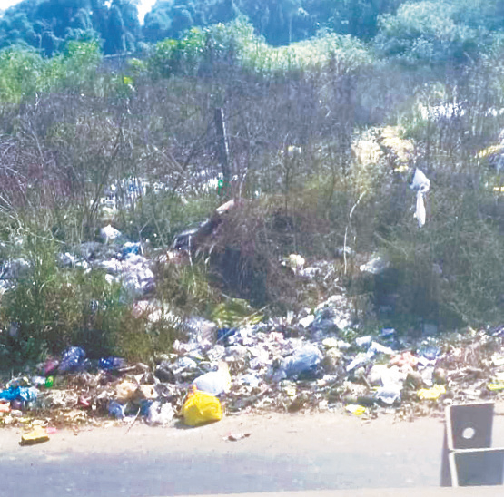 Stop dumping garbage along the service road at Mapusa 1 Stop dumping garbage along the service road at Mapusa