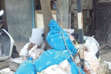 Stop dumping garbage at the base  of roadside trees in port town