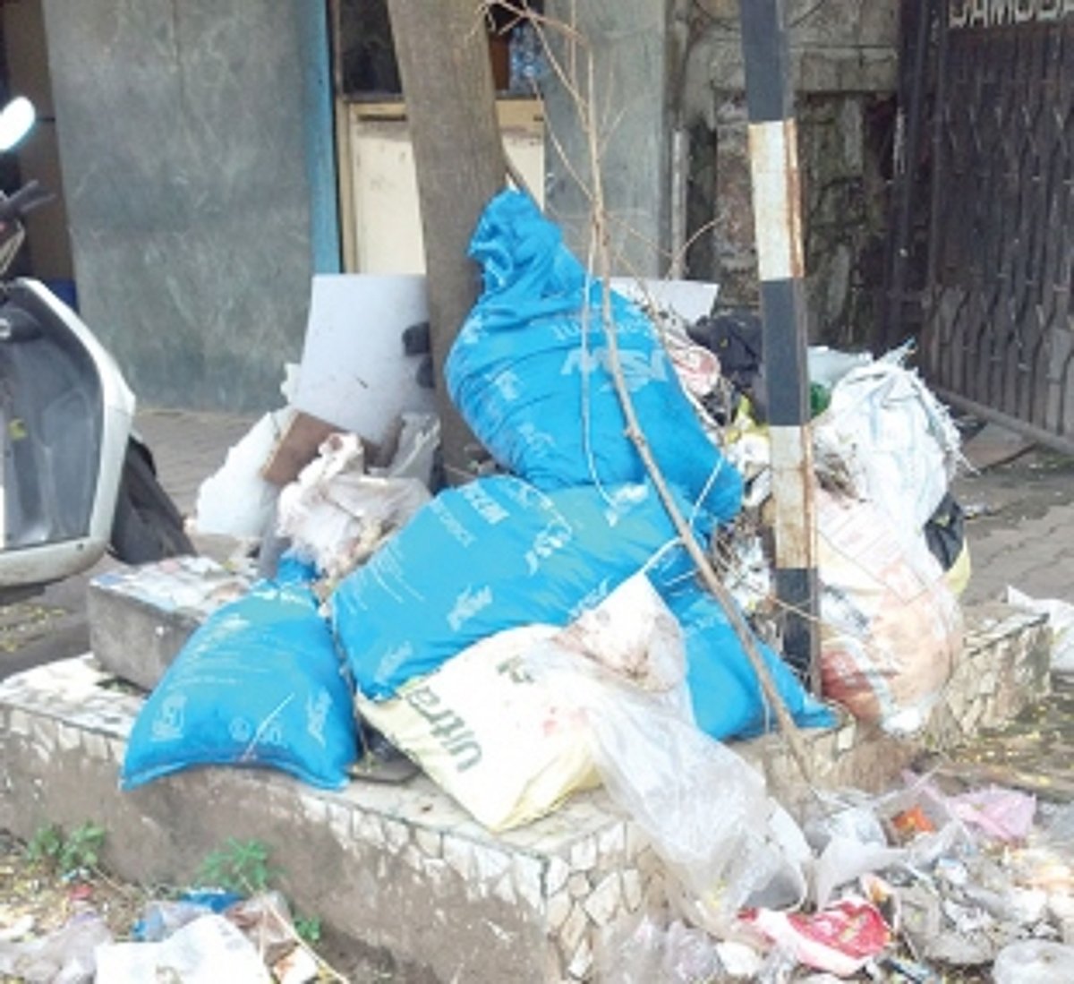 Stop dumping garbage at the base  of roadside trees in port town
