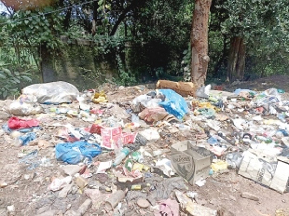 Stop dumping garbage,  save mother earth