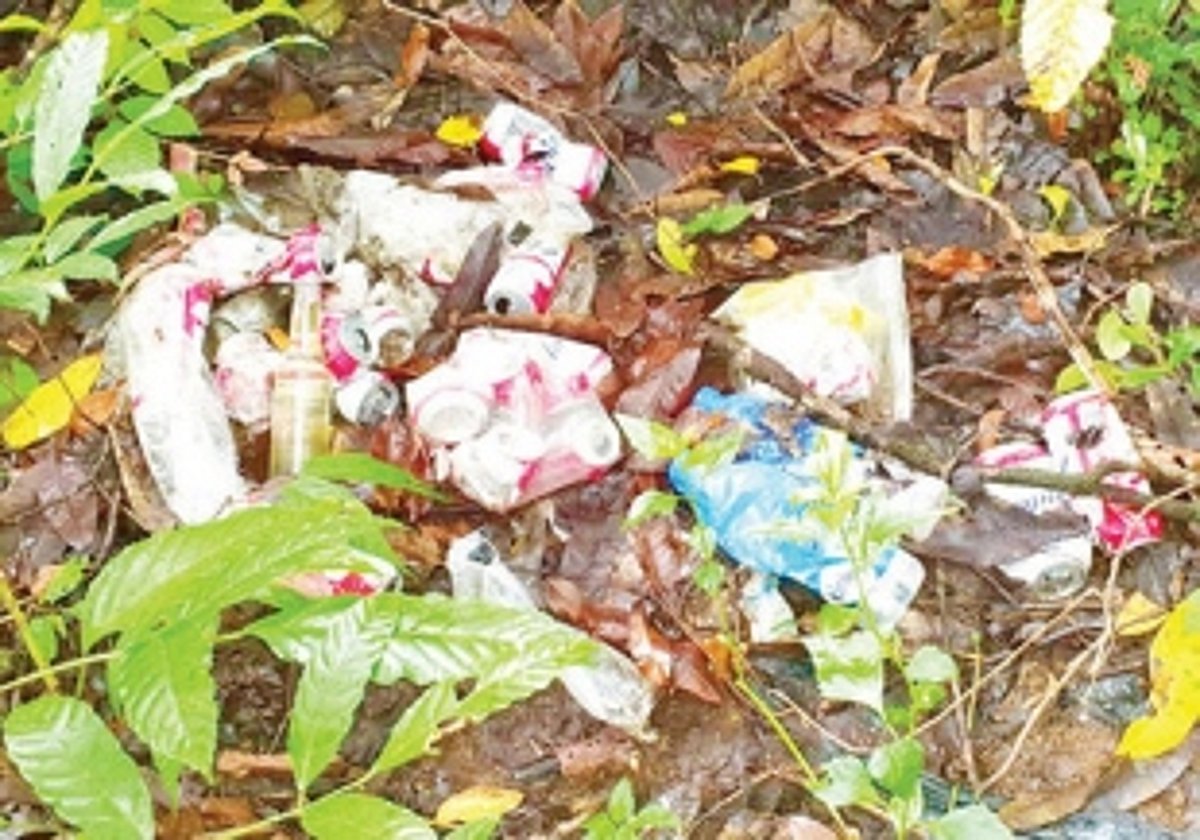 Stop leaving waste near water bodies: Greens