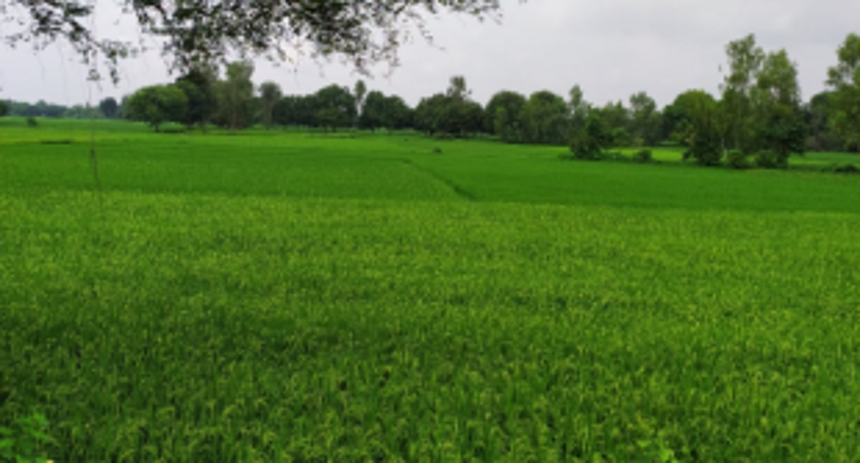 Stop rape of Goa’s virgin lands