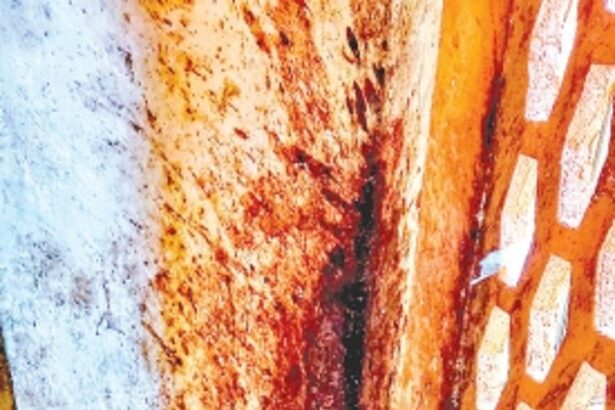 Stop spitting in passages, stairways of public buildings