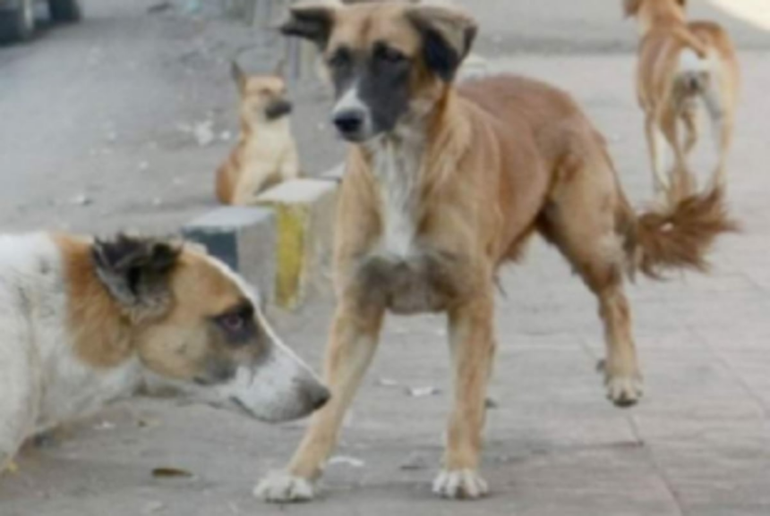 Stop the blame game and solve the problem