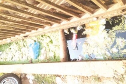 Storm drains turned into mosquito breeding sites in Fatorda