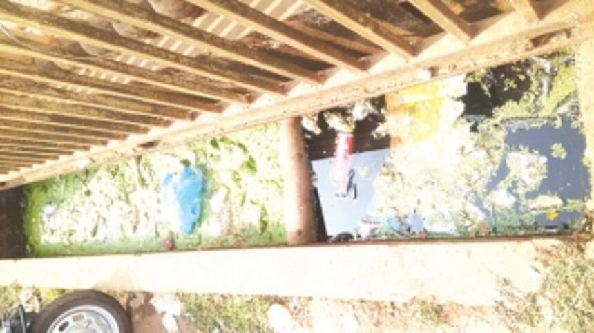 Storm drains turned into mosquito breeding sites in Fatorda