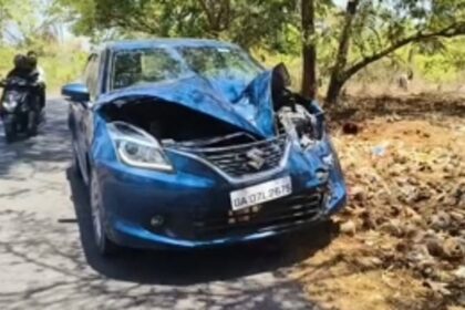 Stray Cattle Menace Causes Chaos; car majorly damaged