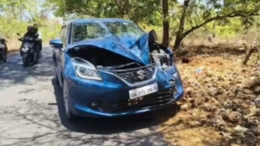 Stray Cattle Menace Causes Chaos; car majorly damaged