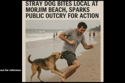 Stray Dog Bites Local at Morjim Beach, Sparks Public Outcry for Action