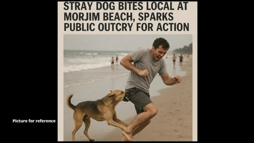Stray Dog Bites Local at Morjim Beach, Sparks Public Outcry for Action 1 Stray Dog Bites Local at Morjim Beach, Sparks Public Outcry for Action