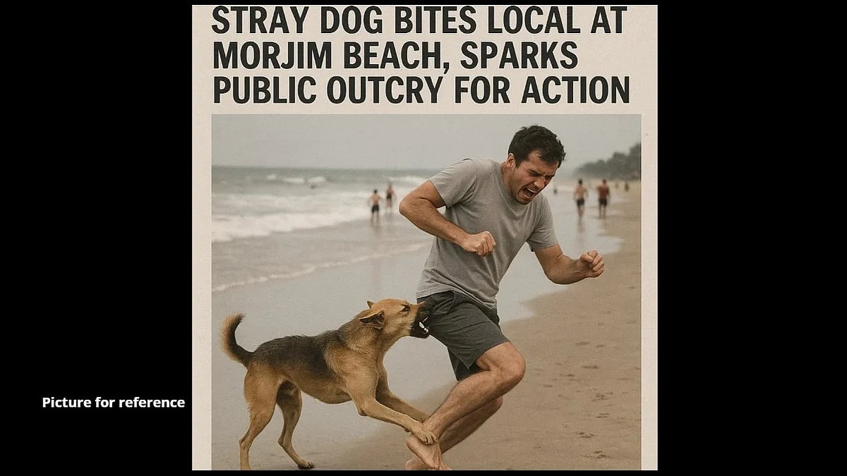 Stray Dog Bites Local at Morjim Beach, Sparks Public Outcry for Action