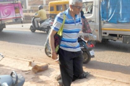 Stray dog menace in Ponda taluka