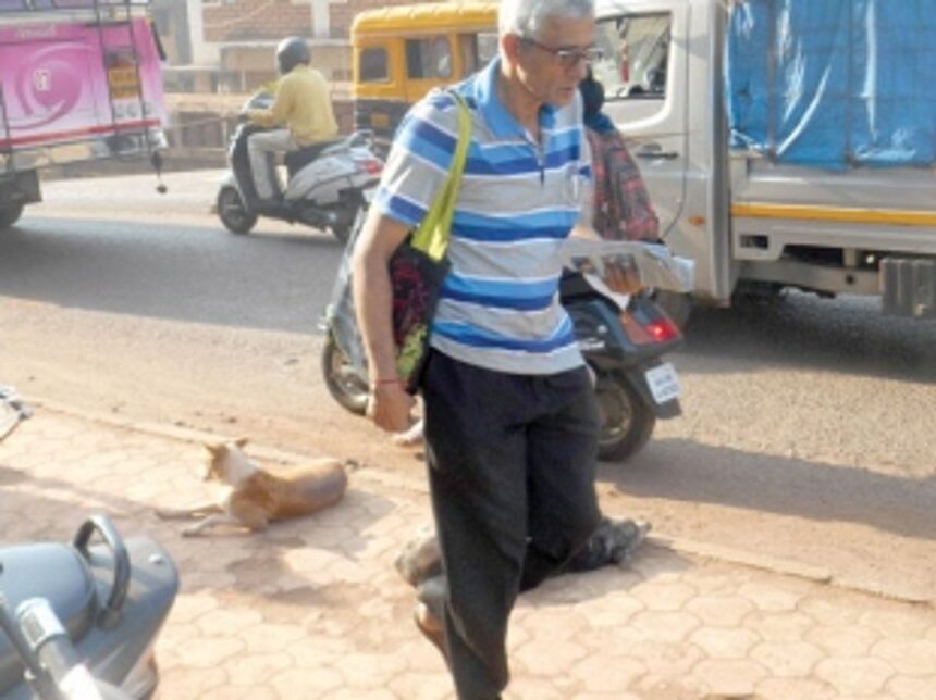 Stray dog menace in Ponda taluka