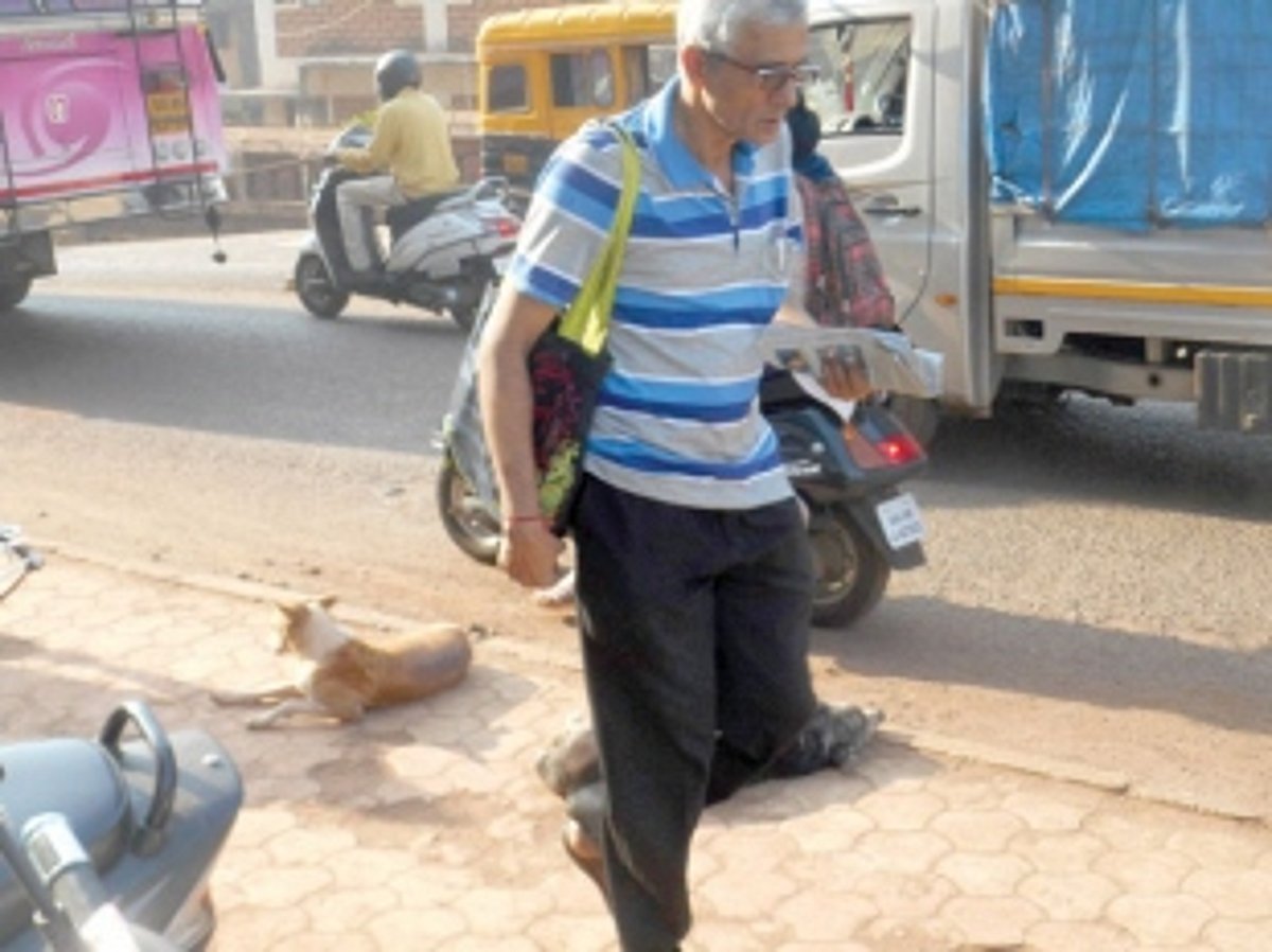 Stray dog menace in Ponda taluka