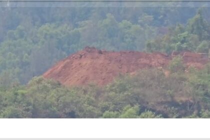 Street Voices: Do you agree with the CM's statement that pollution is inevitable for development?