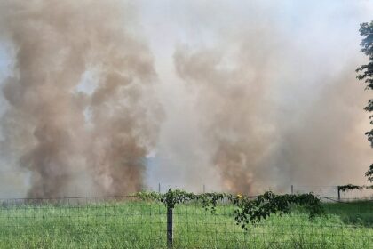 Street Voices: Do you believe the Taleigao MLA has failed to address the field fire issue?