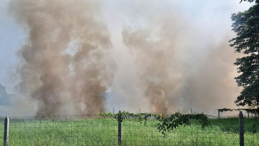 Street Voices: Do you believe the Taleigao MLA has failed to address the field fire issue? 1 Street Voices: Do you believe the Taleigao MLA has failed to address the field fire issue?