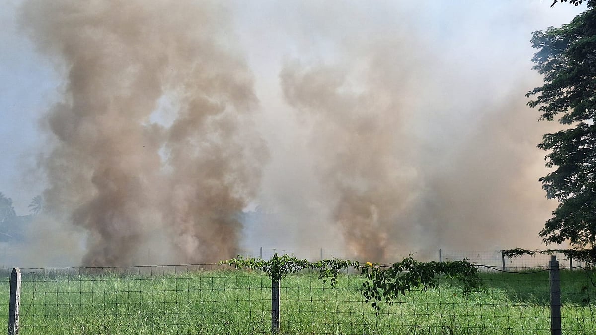 Street Voices: Do you believe the Taleigao MLA has failed to address the field fire issue?