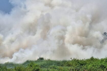  Street Voices: How could the fire in Taleigao, Goa fields be prevented?
