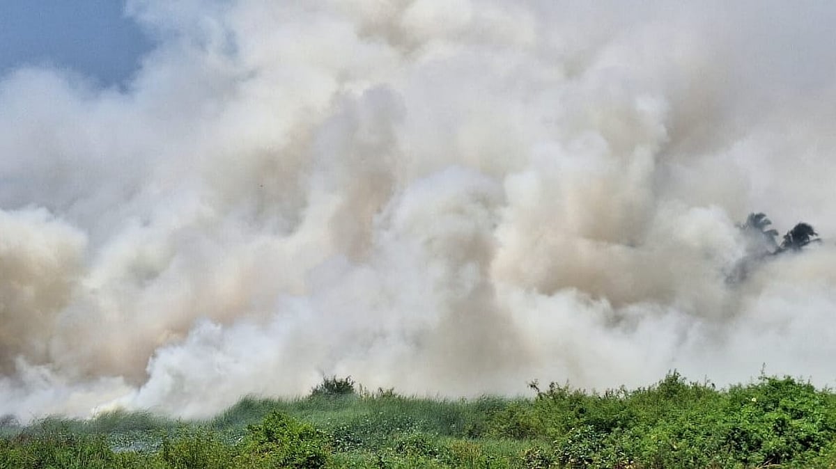  Street Voices: How could the fire in Taleigao, Goa fields be prevented?