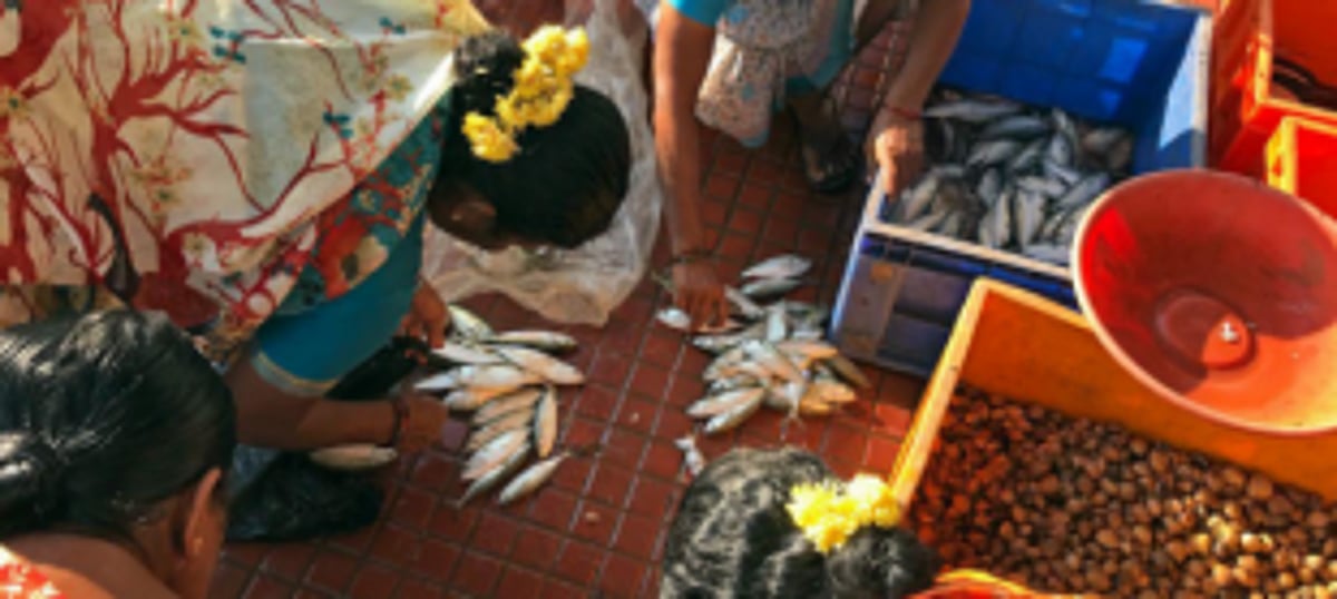 Street vendors causing traffic snarls at Borimol