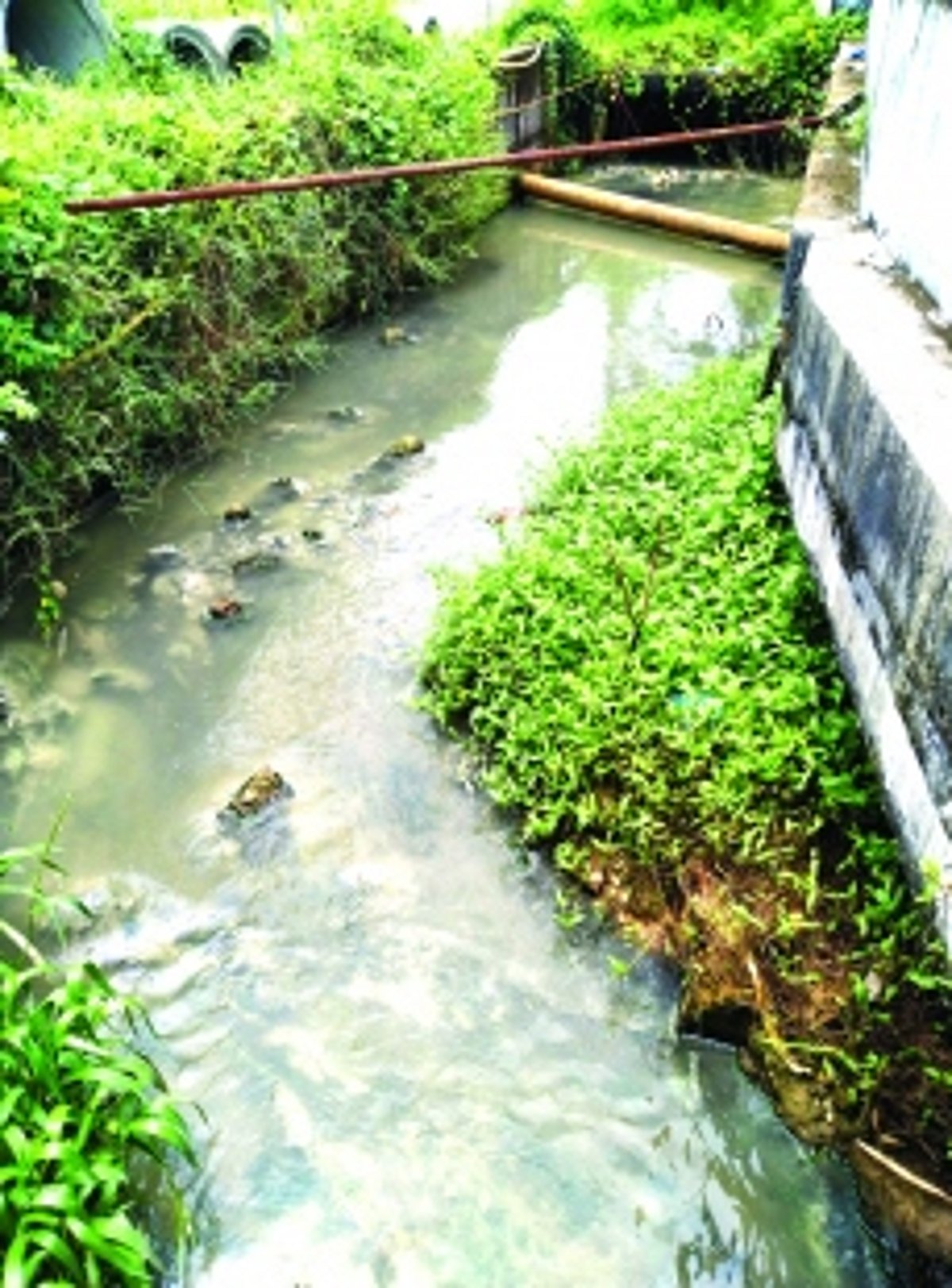 Strict action demanded against hoteliers, housing societies releasing sewage into nullahs