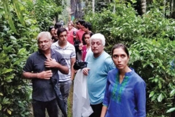 Strolling through history