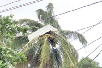 Strong winds, rains wreak havoc in State