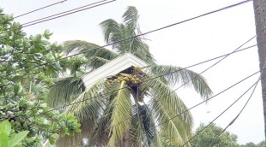 Strong winds, rains wreak havoc in State
