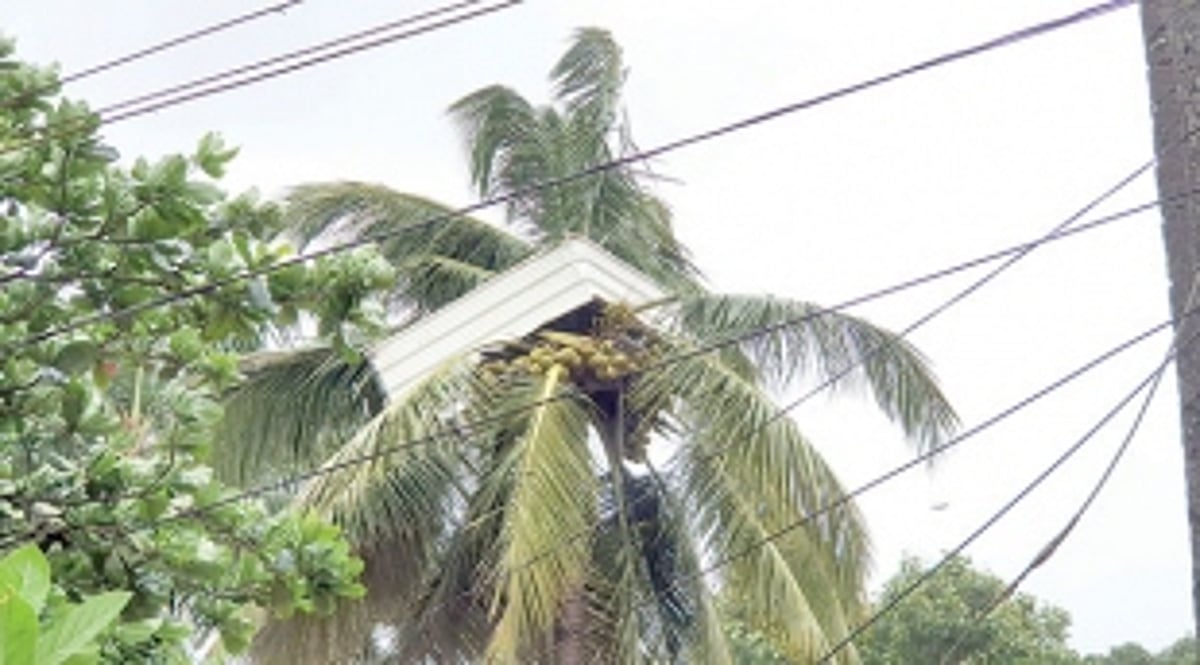 Strong winds, rains wreak havoc in State