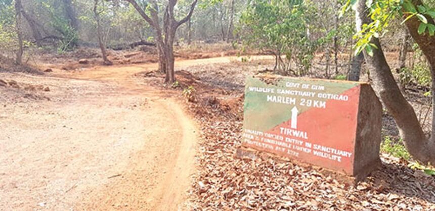 Stuck in limbo: Cotigao in need of urgent development 1 Stuck in limbo: Cotigao in need of urgent development