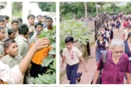 Students enjoy a nature trail at St Lawrence HS premises
