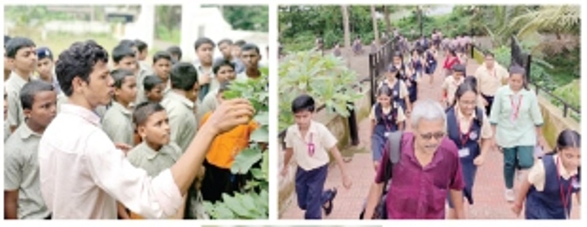 Students enjoy a nature trail at St Lawrence HS premises