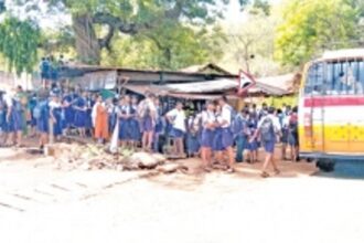 Students exposed to danger as govt dilly dallies in constructing approach road to Khandepar bridge