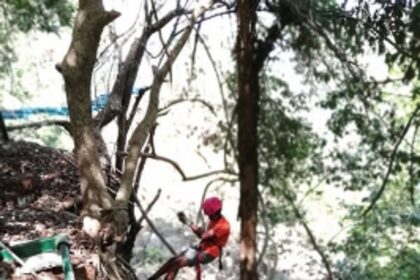 Students take the route less travelled