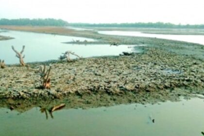 Substandard construction of Chikalpaine bandhara sparks outcry