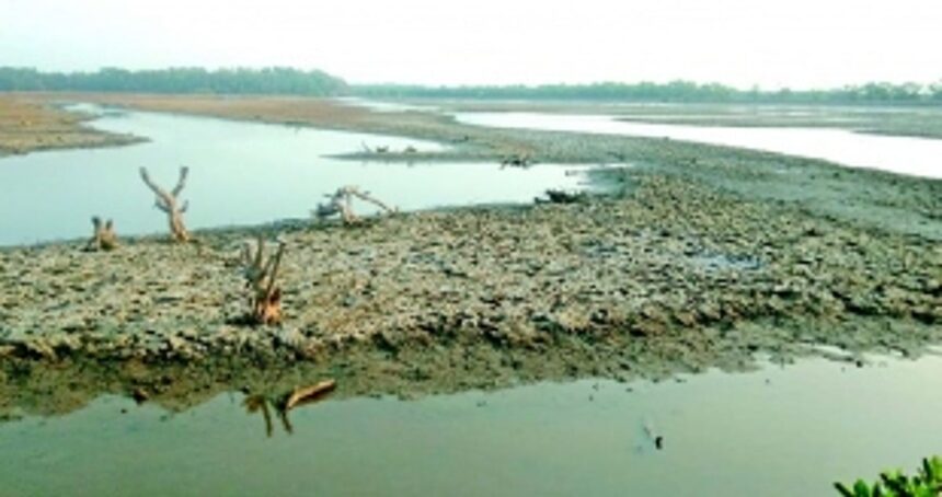 Substandard construction of Chikalpaine bandhara sparks outcry