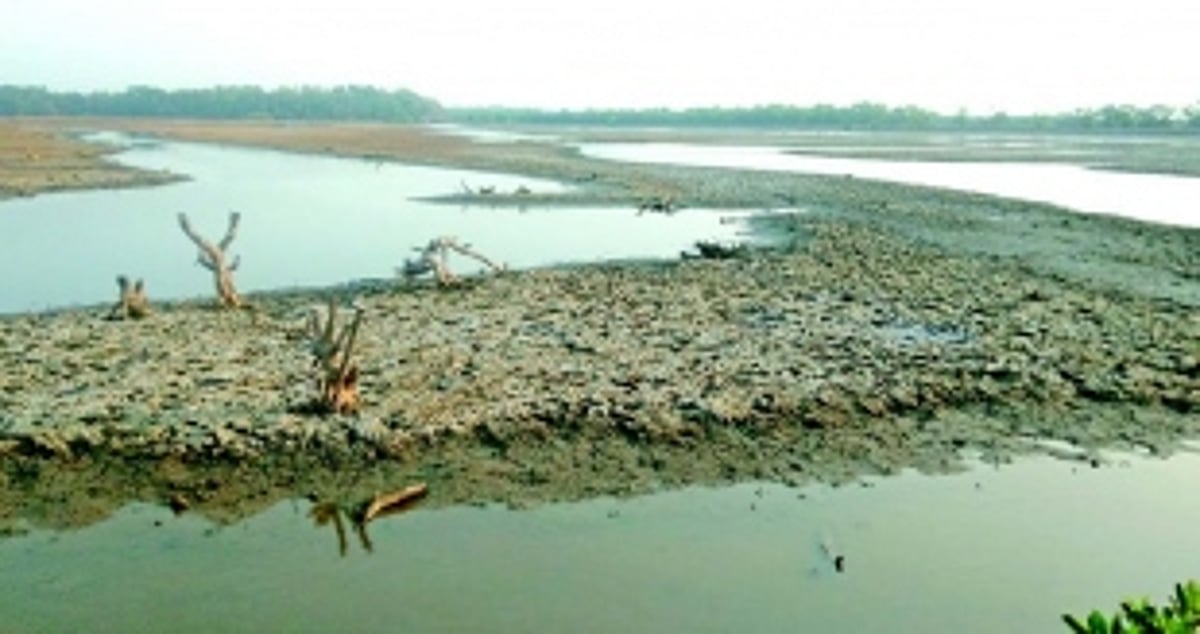 Substandard construction of Chikalpaine bandhara sparks outcry