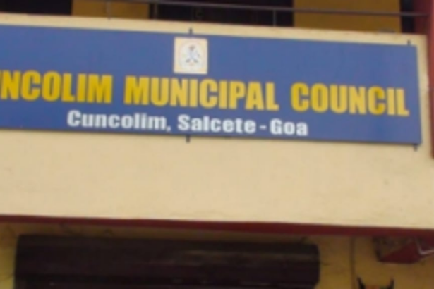 Succorina re-elected  as CMC chairperson