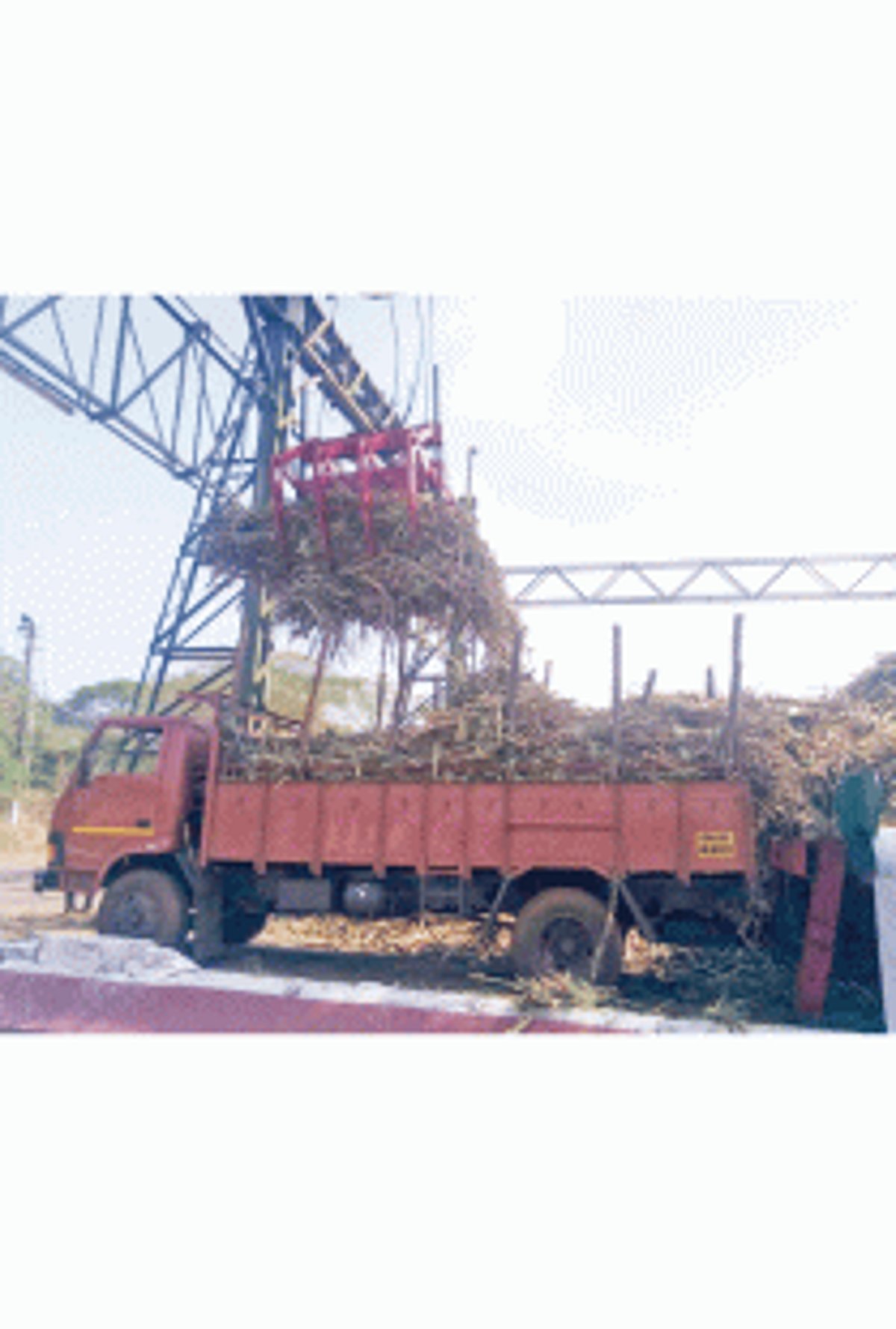 Sugar cane crushing operation to commence