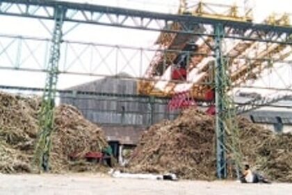 Sugarcane farmers waiting for Sanjivani factory’s Achhe Din