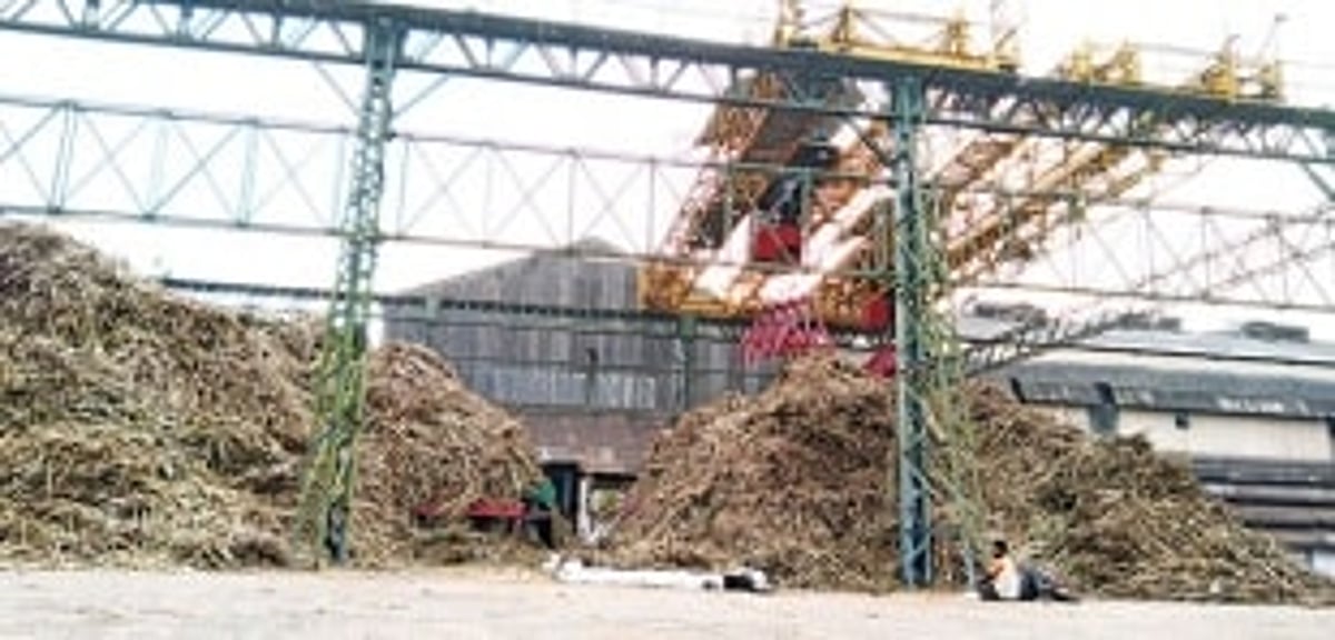 Sugarcane farmers waiting for Sanjivani factory’s Achhe Din