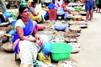 Suiting one’s palate & pocket: Goans flock to Karwar market to procure dried fish